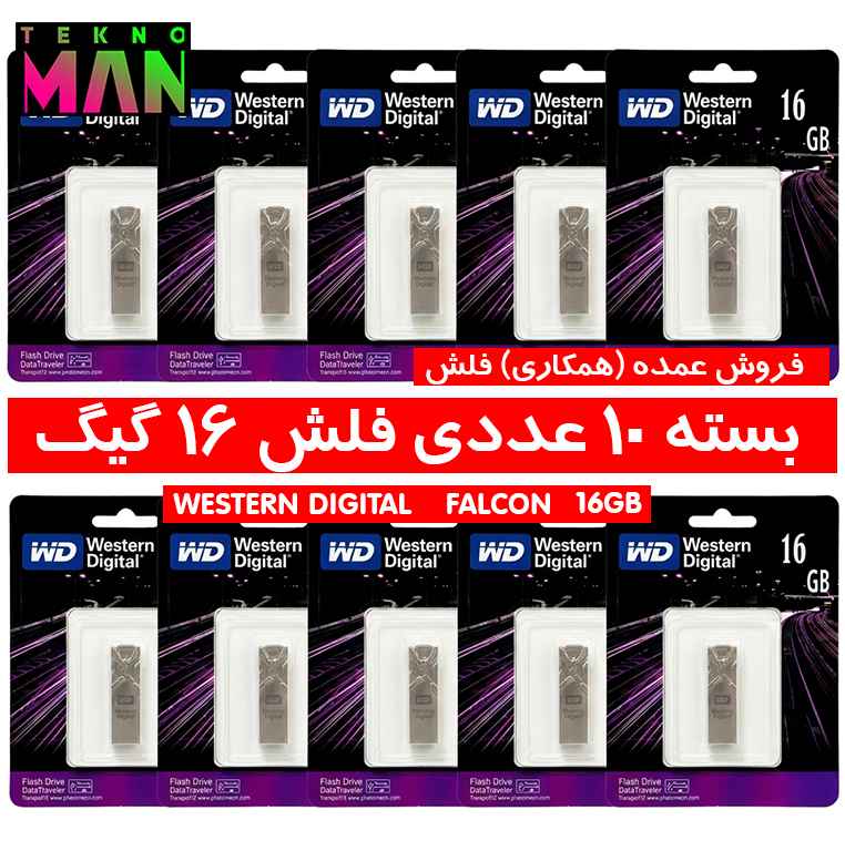 بسته 10 عددی فلش 16 گیگ WESTERN DIGITAL FALCON به قیمت عمده (همکاری)