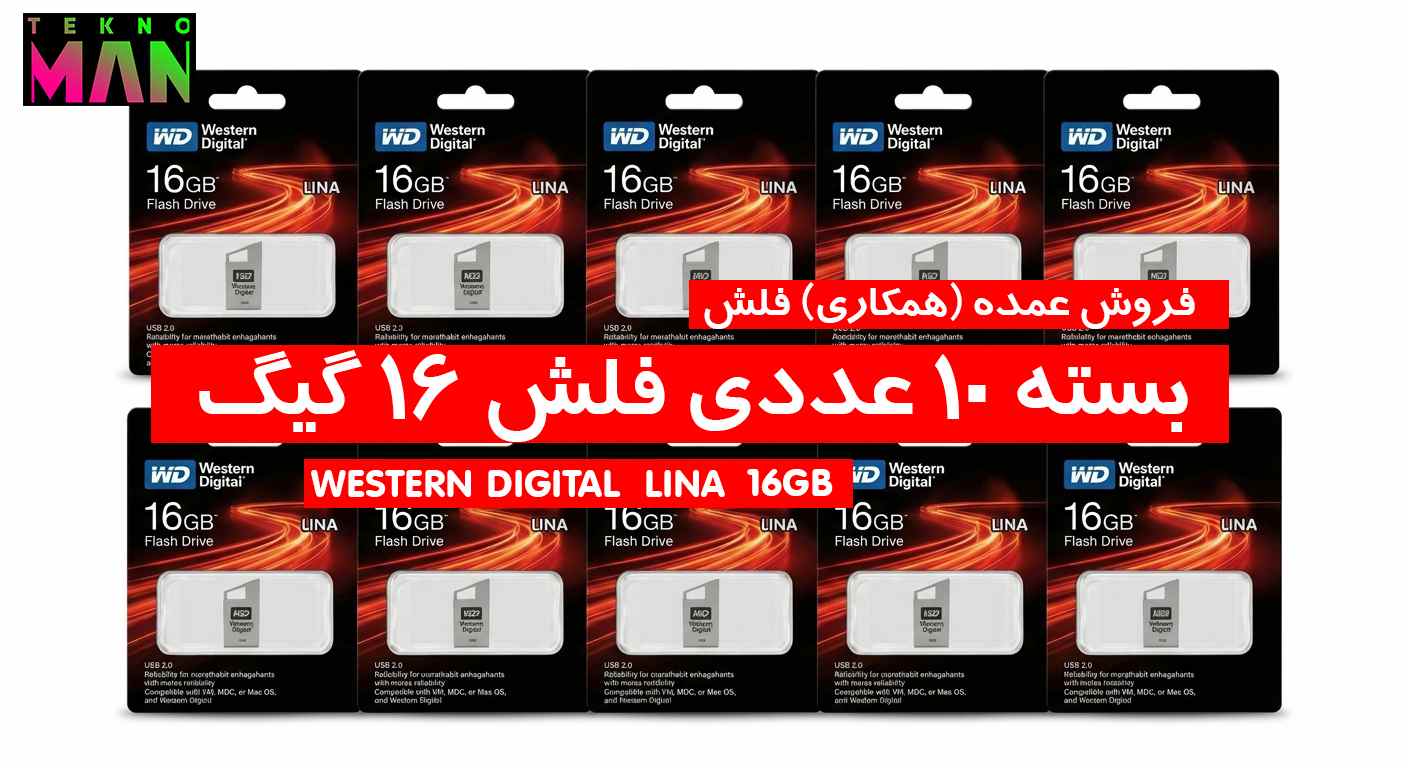 بسته 10 عددی فلش 16 گیگ WESTERN DIGITAL LINA به قیمت عمده (همکاری)
